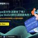 Kaspa支付生活要來了嗎？Kaspa Wallet將扮演關鍵角色？想要成為Kaspa持有者擁有Kaspa錢包很重要！1