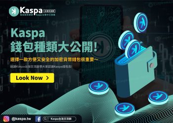 Kaspa錢包種類大公開！想要長期囤Kas幣 加密貨幣錢包選擇很重要0
