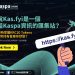 聽說Kas.fyi是一個集結Kaspa資訊的匯集站？還能即時掌握KRC20 Tokens與Kas幣持有者庫存狀態？